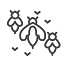 bees