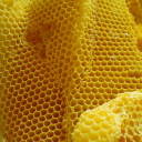 cire d'abeilles