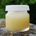 gelée royale